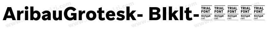 AribauGrotesk- BIklt字体转换